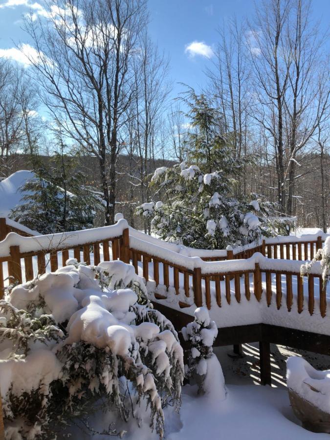 Black River Crossing Bed & Breakfast Bessemer Екстер'єр фото