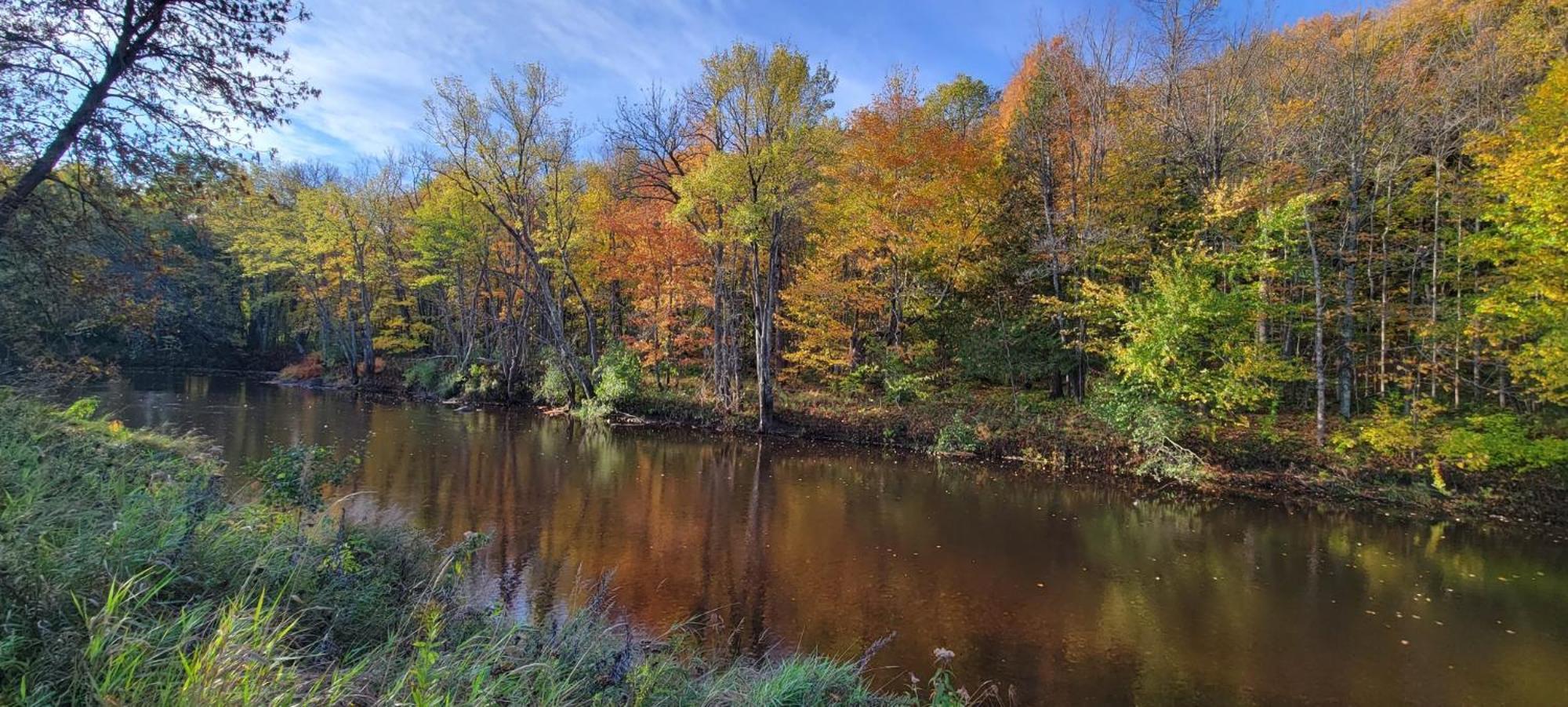 Black River Crossing Bed & Breakfast Bessemer Екстер'єр фото